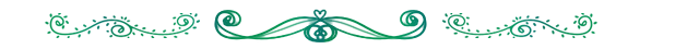 DruaesiSpacer.png