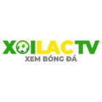 xoilaccvinet's Avatar