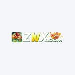 zwxpluscom's Avatar