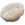 Shells