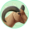 Ram Horns