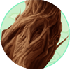 Gnarled Driftwood Neck