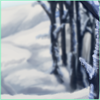 Snowy Forest Background