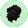 Black Roses