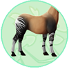 Okapi Markings