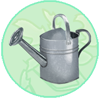 Old Tin Watering Can