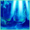 Serene Forest Night Background