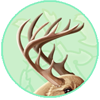 Great Forest Antlers