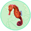 Seahorse