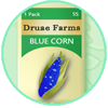 Blue Corn Seeds