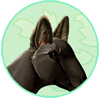 Sable Ears