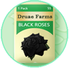 Pack of Black Rose Seeds