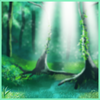 Serene Forest Daytime Background