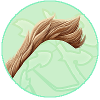 Clipped Hair