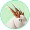 Shell Horns